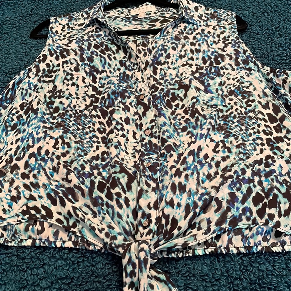 Chaus Blouse